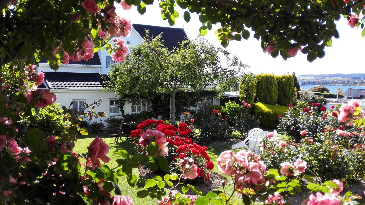 Phoenix Thermal Resort - Taupo Luaran gambar