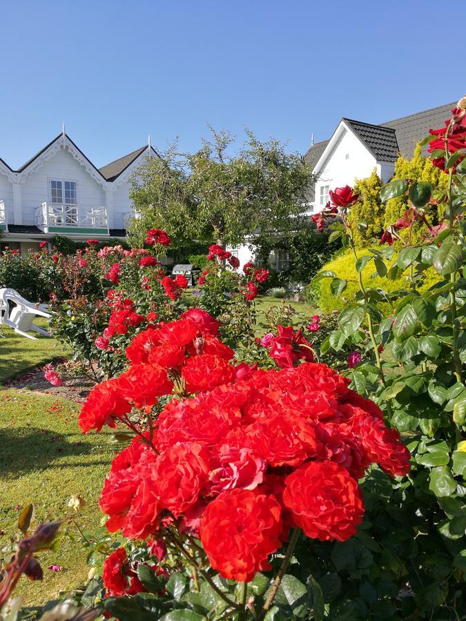 Phoenix Thermal Resort - Taupo Luaran gambar