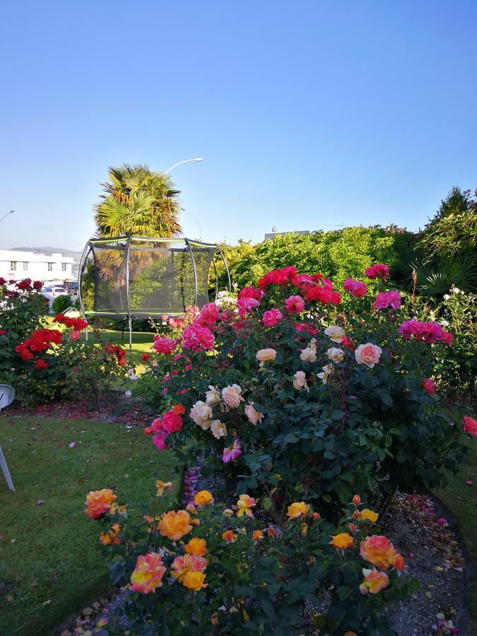 Phoenix Thermal Resort - Taupo Luaran gambar